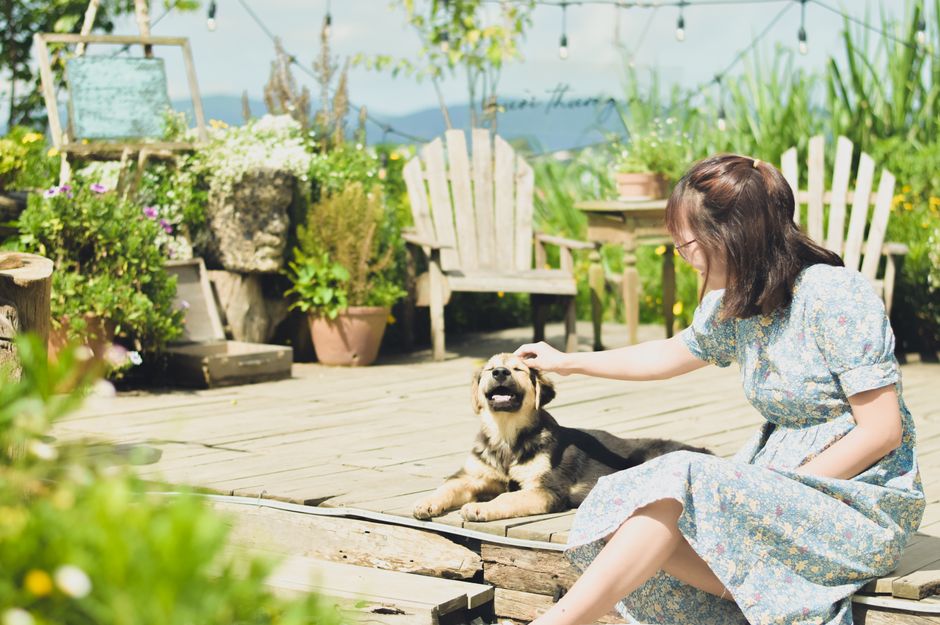 Garden Party Dress Ideas