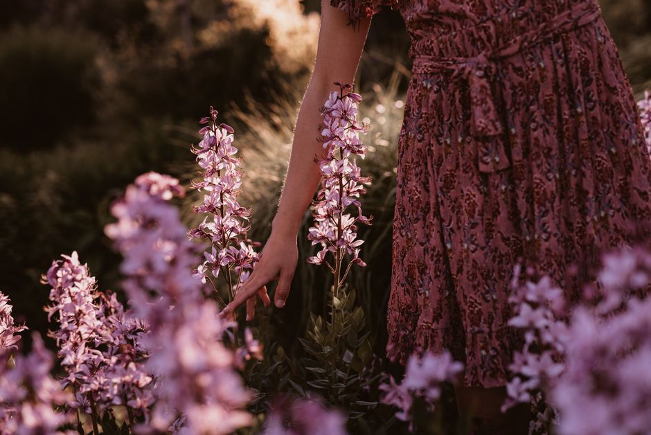 A woman in a floral dress gently touching purple blooming flowers in a sunlit meadow